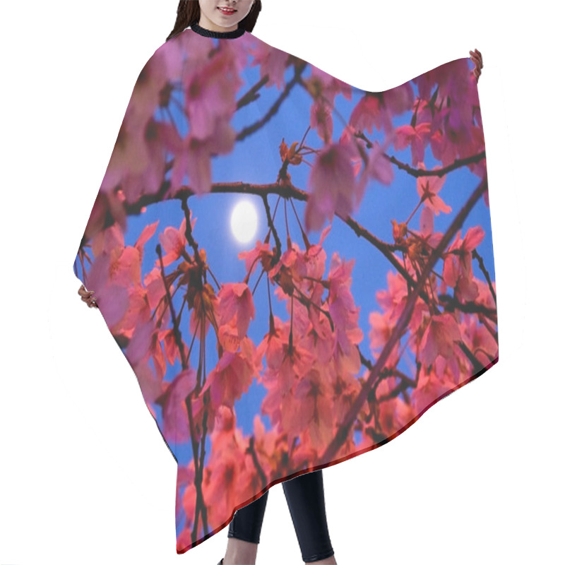 Personality  Moon Shining Through Cherry Blossoms Hair Cutting Cape