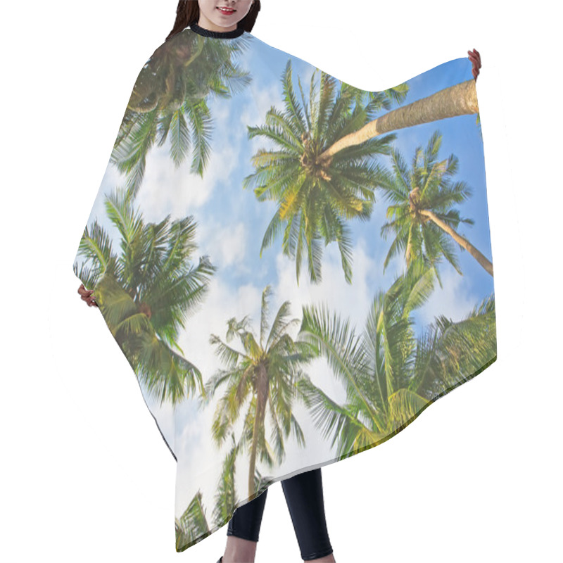 Personality  Coconut Palm Trees Hair Cutting Cape