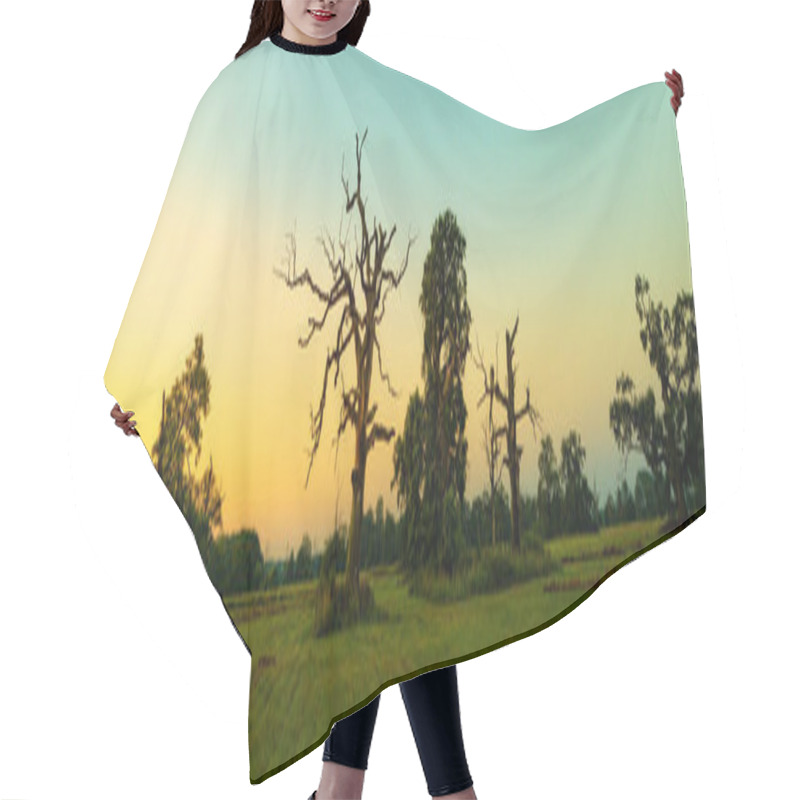 Personality  Beautiful Rogalin Oak In Summer Sunset Hair Cutting Cape