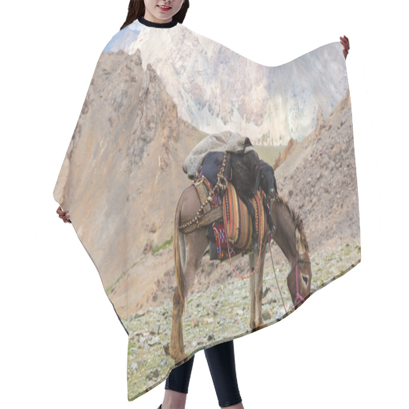 Personality  Cargo Donkey In Mountain Area Hair Cutting Cape