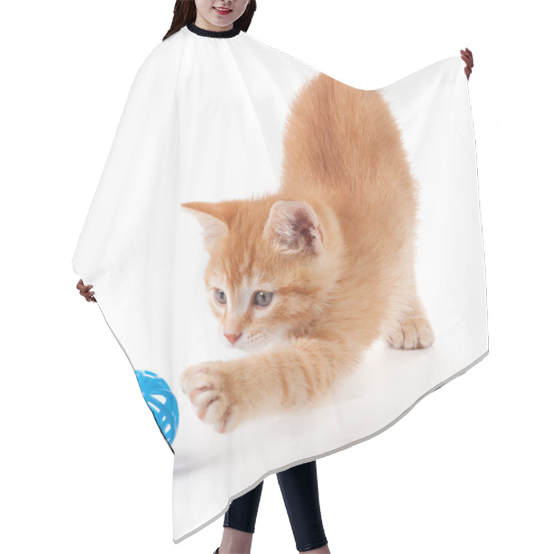 Personality  Cute Orange Kitten Playing With A Toy Hair Cutting Cape