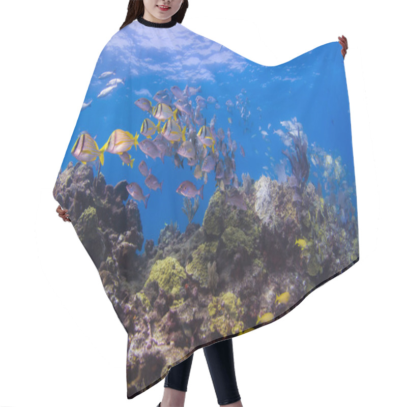 Personality  Pork Fish On The Reef Hair Cutting Cape