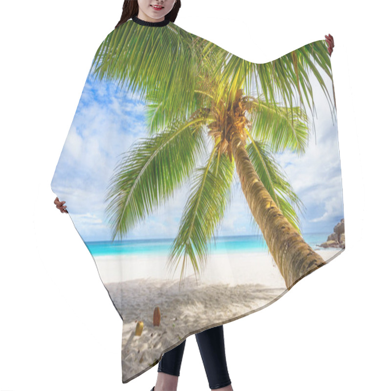 Personality  Palm Tree And White Sand And Turquoise Water At Tropical Beach,paradise At Anse Geogette, Seychelles Hair Cutting Cape