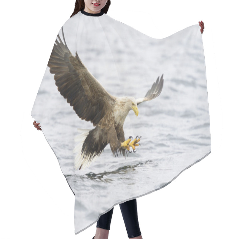 Personality  White-tailed Eagle Catching Fish Hair Cutting Cape