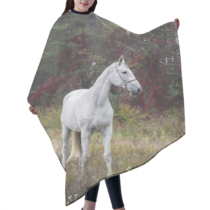 Personality  Gray Horse Standing In The Forest On The Green Grass Near The Trees Hair Cutting Cape