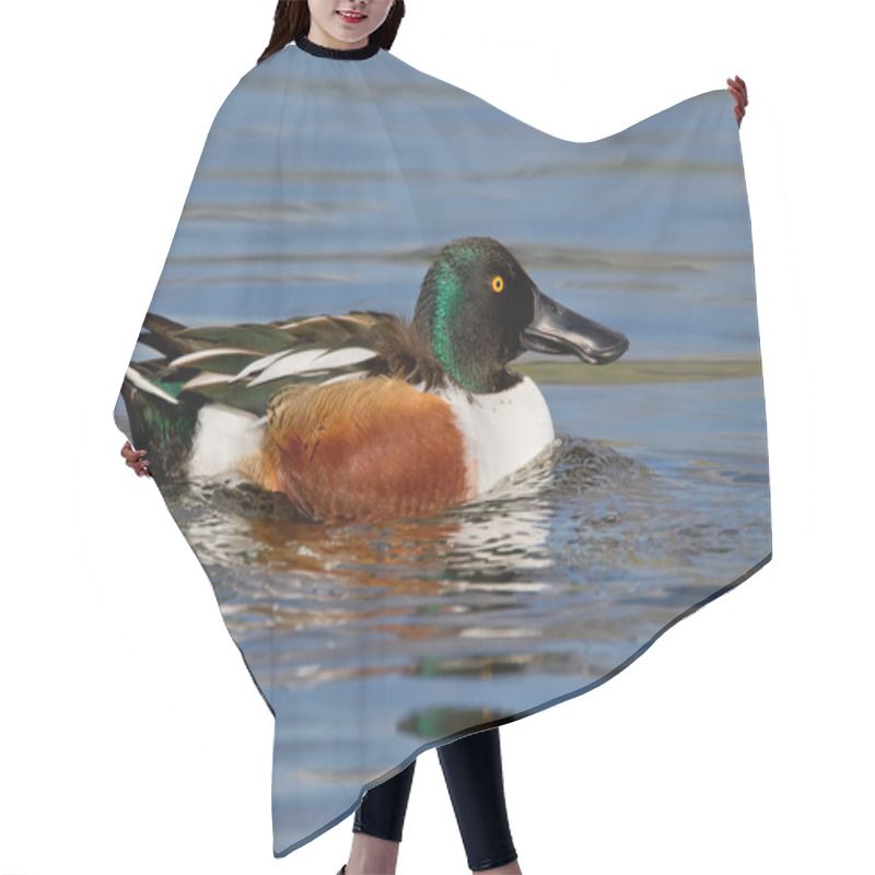 Personality  Northern Shoveler (Anas Clypeata) Hair Cutting Cape