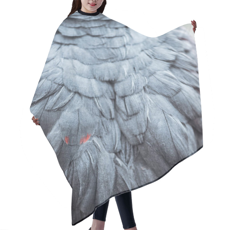 Personality  Close Up View Of Vivid Grey Fluffy Parrot Wings With Feathers Hair Cutting Cape