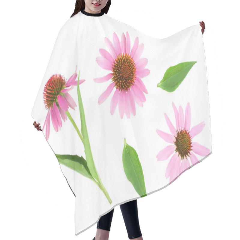 Personality  Coneflower Or Echinacea Purpurea Isolated On White Background, Top View. Flat Lay. Hair Cutting Cape