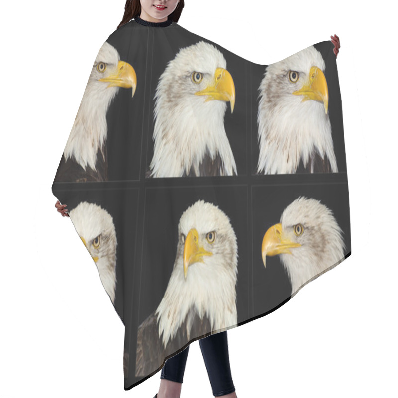 Personality  Full Frontal Portrait Of American Symbol Bald Eagle Isolated On Hair Cutting Cape