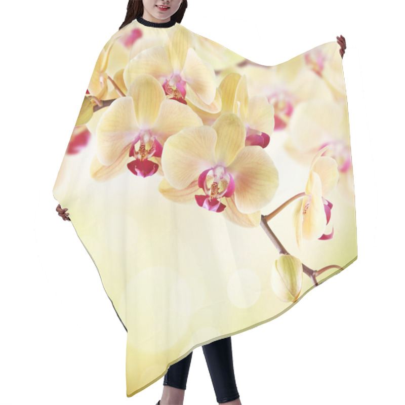 Personality  Yellow Orchid Hair Cutting Cape