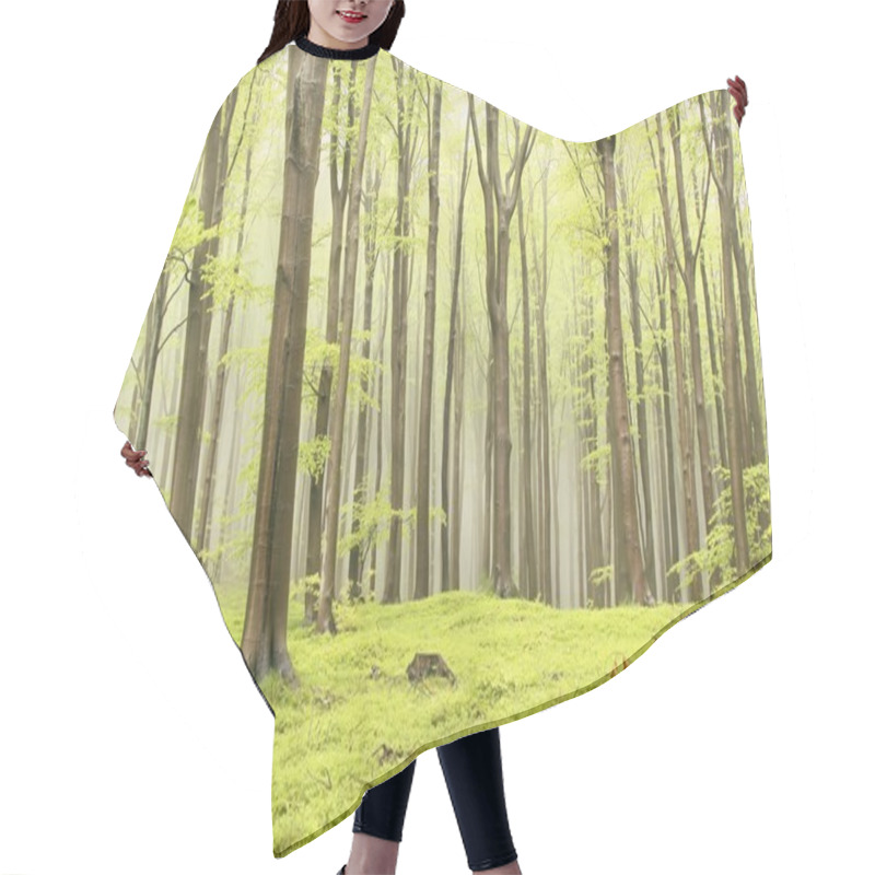 Personality  Misty Spring Forest Hair Cutting Cape