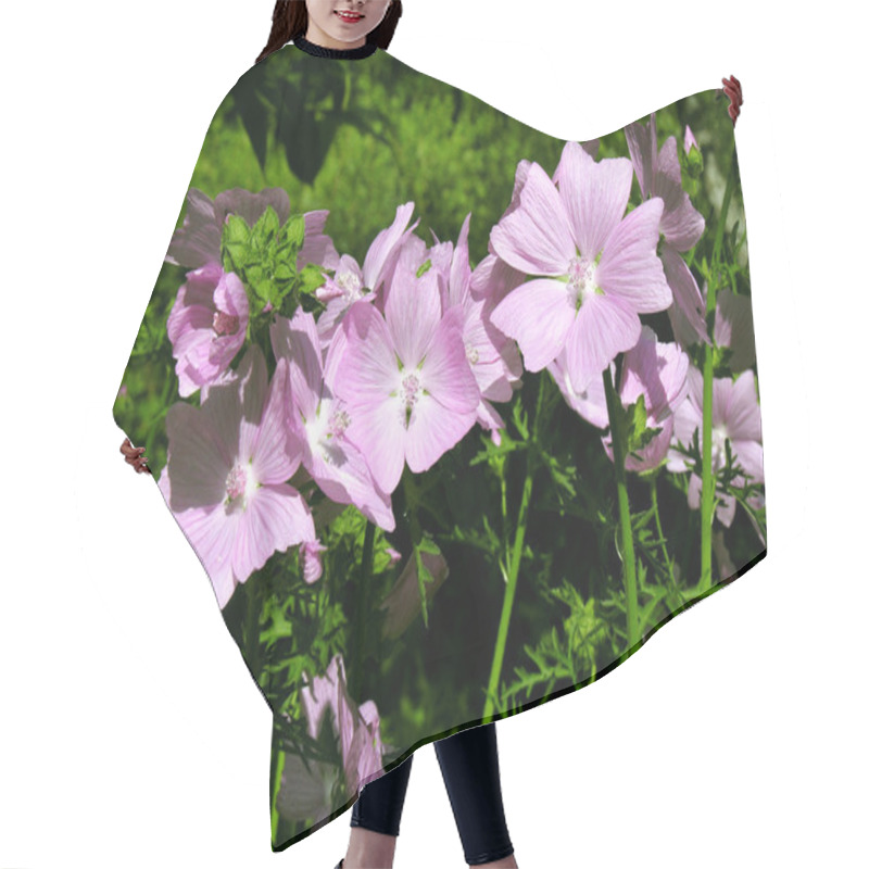 Personality  Mallow Flowers. Hair Cutting Cape