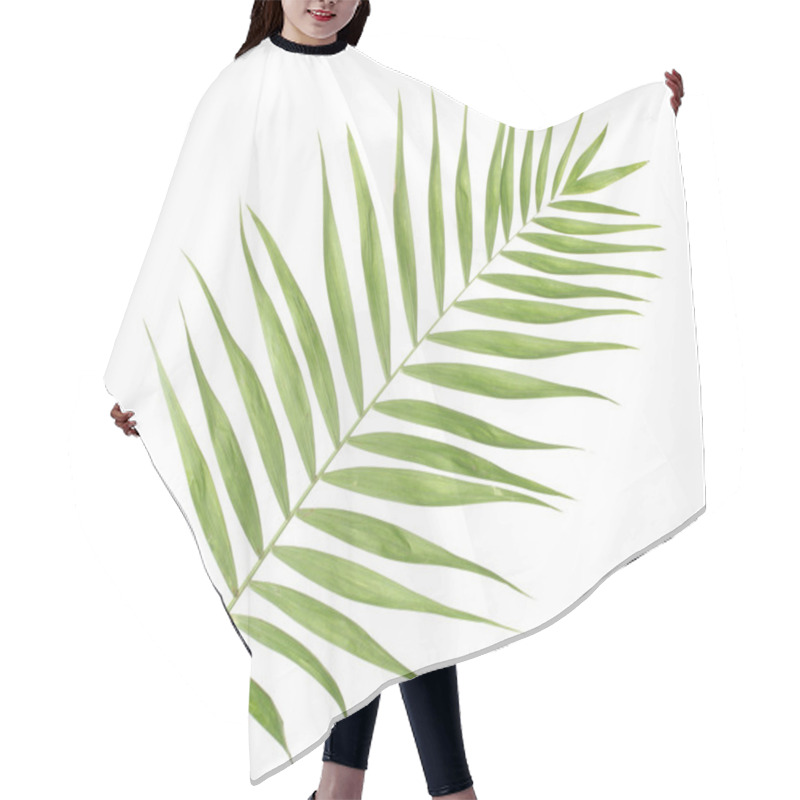 Personality  Beautiful Palm Leaf Isolated On White Hair Cutting Cape