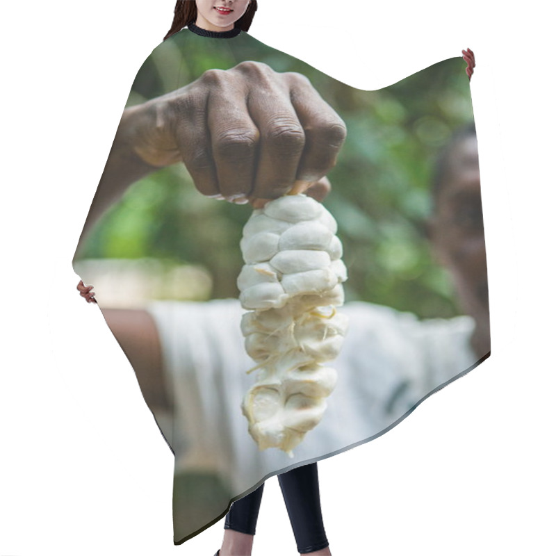 Personality  Man Holding Opened Cocoa Pod Hair Cutting Cape