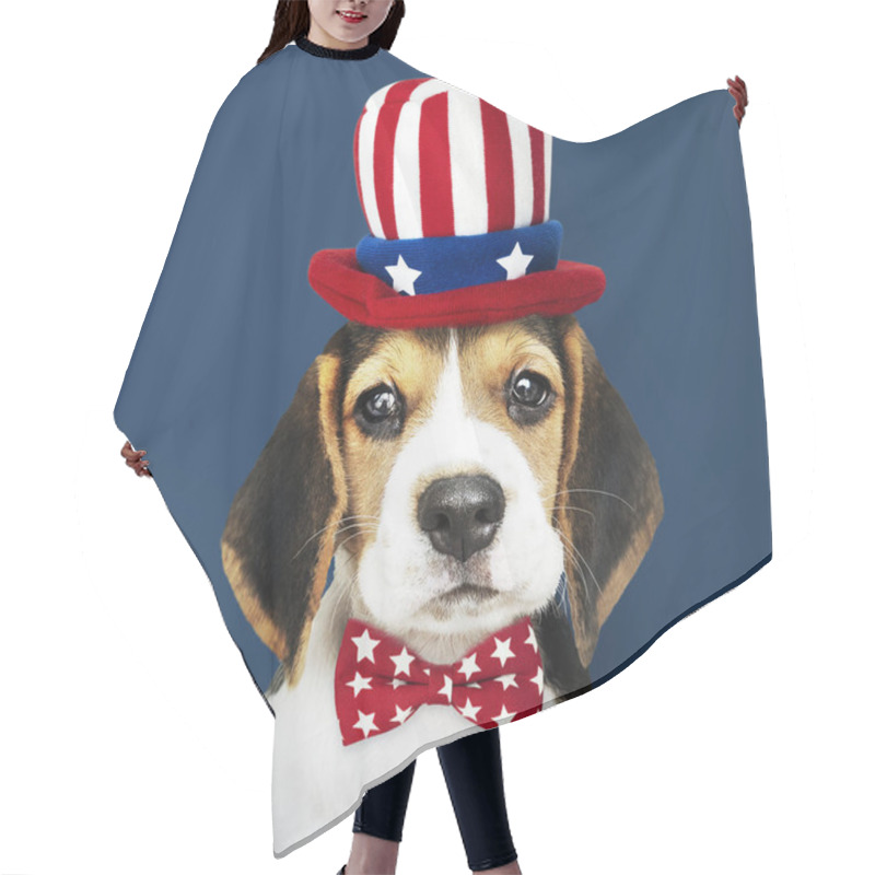 Personality  Cute Beagle Puppy In Uncle Sam Hat And Bow Tie Hair Cutting Cape