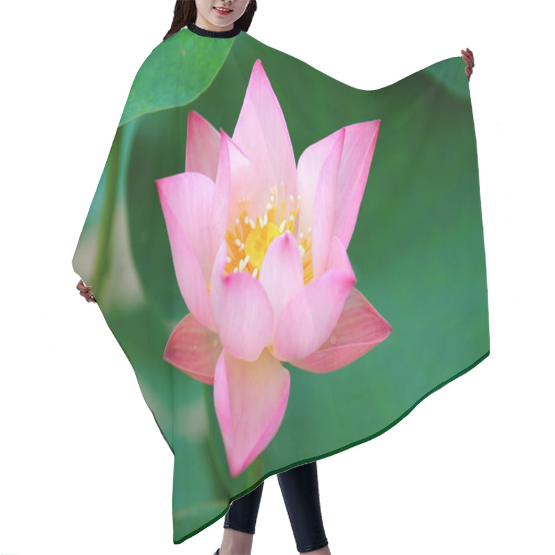 Personality  Blooming Of Lotus Flower Hair Cutting Cape