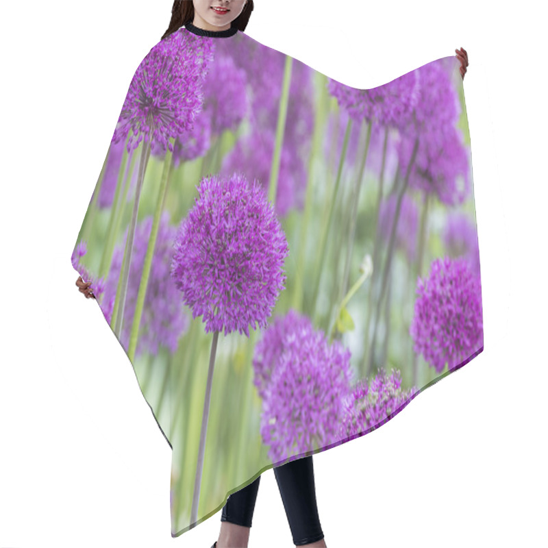 Personality  Allium (Allium Giganteum) Hair Cutting Cape