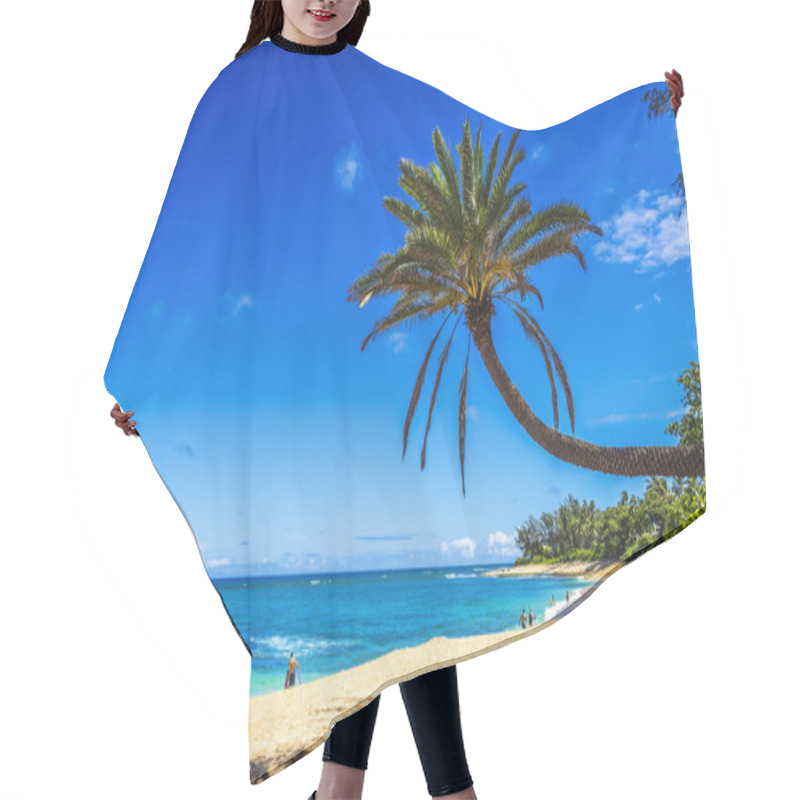 Personality  Coconut Palm Tree At Dreamy Tropical Sunset Beach In Hawaii Hair Cutting Cape