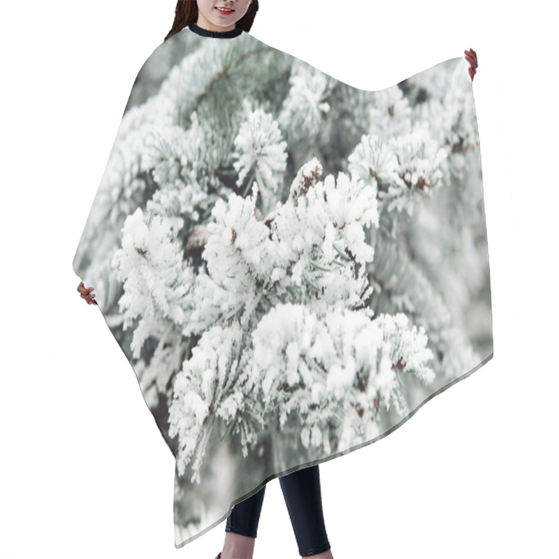 Personality  Snowbound Branch Of Fir. Hair Cutting Cape