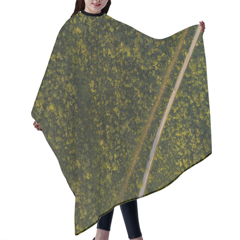 Personality  Top View Of Highway In Forest Hair Cutting Cape