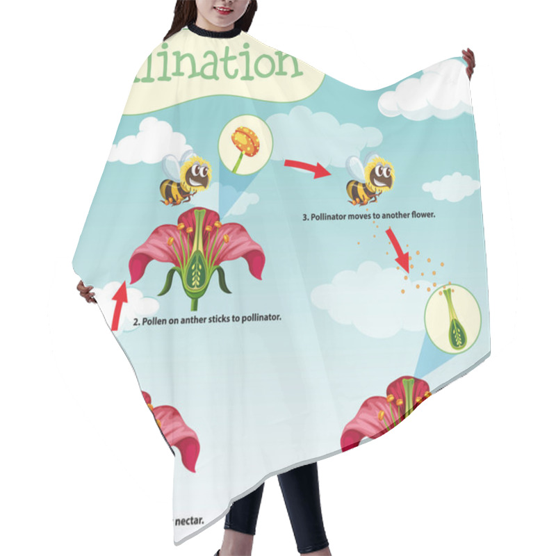 Personality  Diagram Showing Pollination With Bee And Flowers Hair Cutting Cape