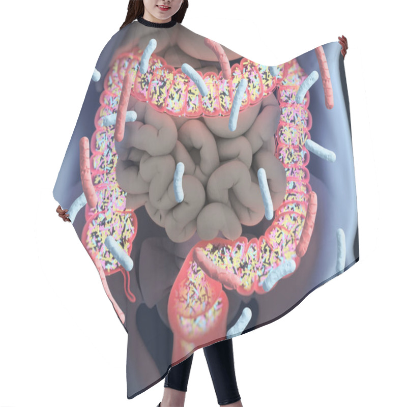 Personality  Gut Bacteria, Microbiome. Bacteria Inside The Large Intestine, C Hair Cutting Cape