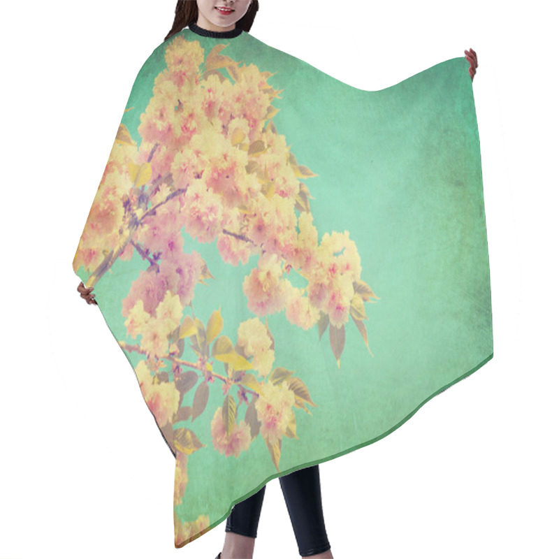 Personality  Spring Sakura Blossom  Background. Hair Cutting Cape