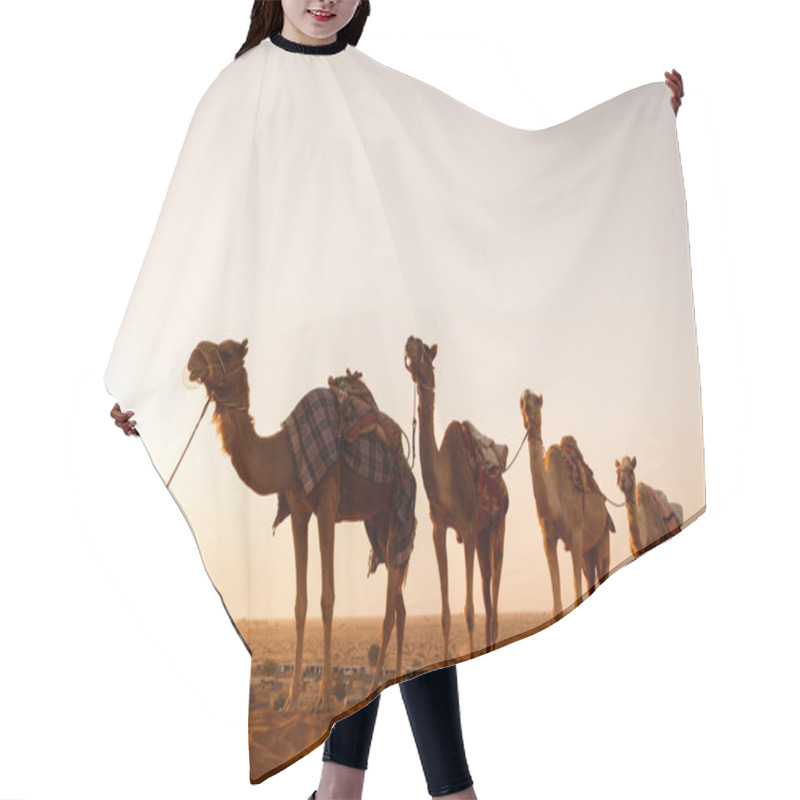 Personality  Camel Caravan Going Through The Desert During Sunset Hair Cutting Cape