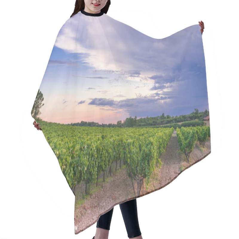 Personality  Vineyard In Provence Hair Cutting Cape