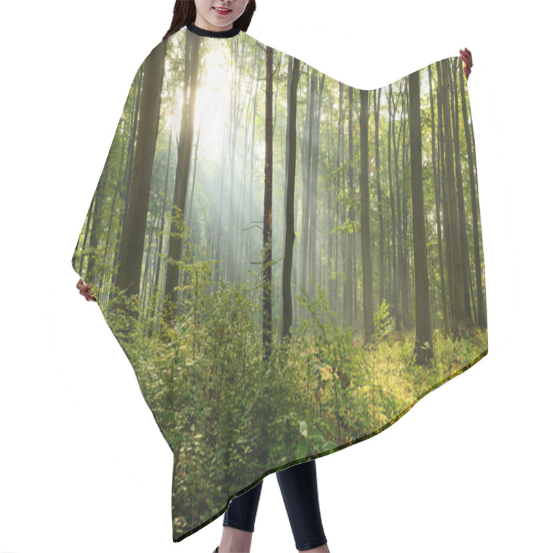 Personality  Beautiful Morning Sunbeams In Misty Forest Hair Cutting Cape