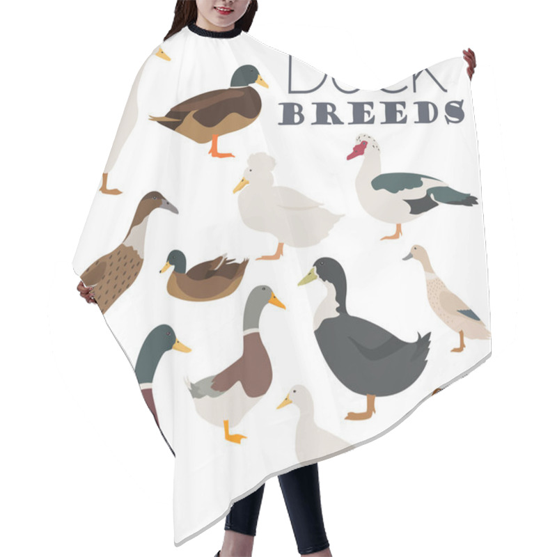 Personality  Poultry Farming. Duck Breeds Icon Set. Flat Design Hair Cutting Cape