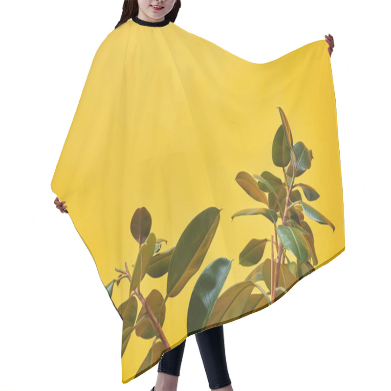 Personality  Close Up Of Green Ficus Leaves On Yellow Background Hair Cutting Cape