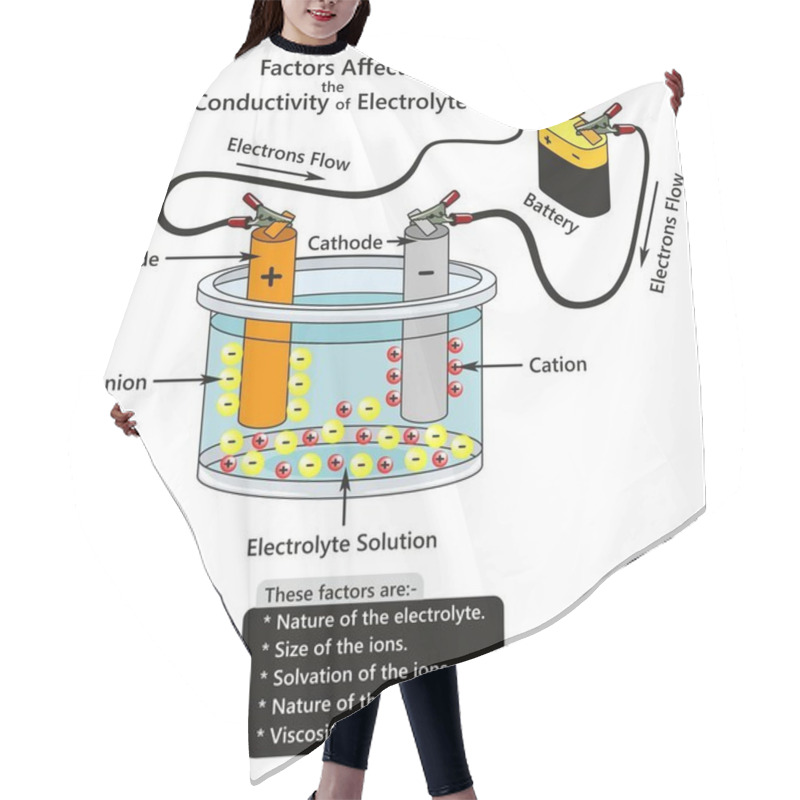 Personality  Factors Affect The Conductivity Of Electrolyte Infographic Diagram Showing A Battery Connected To Cathode And Anode In Container Contains Electrolyte Solution Ions Interaction For Chemistry Science Hair Cutting Cape