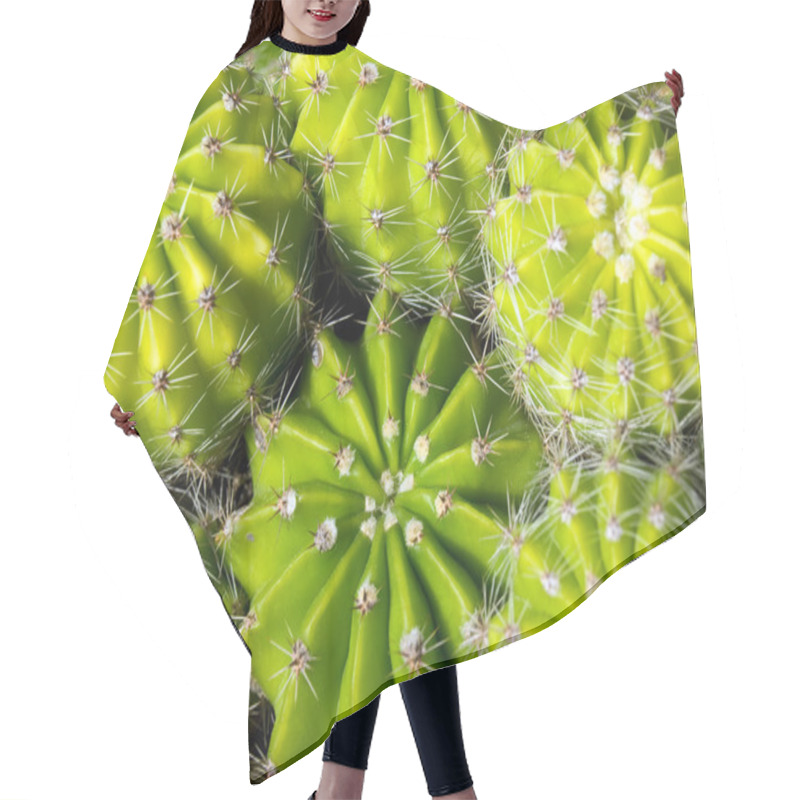 Personality  Cacti Hair Cutting Cape