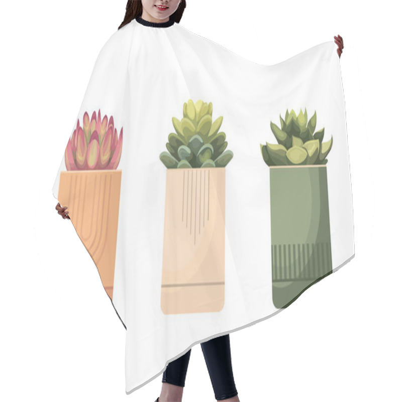 Personality  Potted Plants Collection. Succulents And House Plants. Hand Drawn Vector Art. Hair Cutting Cape