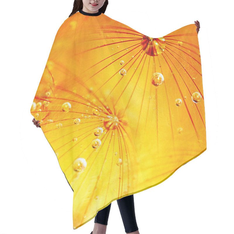 Personality  Abstract Dandelion Flower Background Hair Cutting Cape