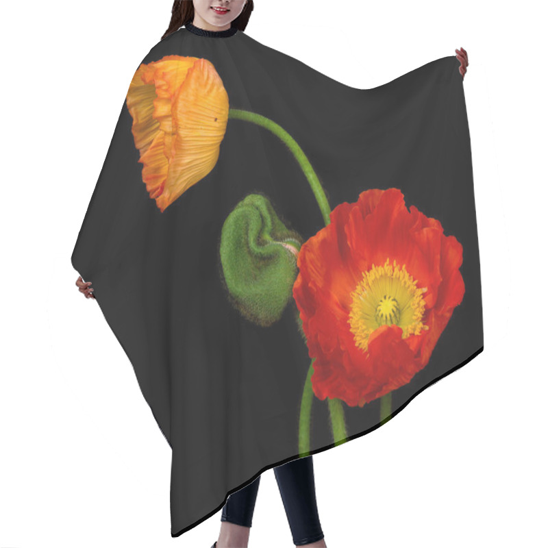 Personality  Red Poppies Hair Cutting Cape