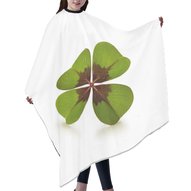 Personality  Four Leaf Clover  Isolated On White Background Hair Cutting Cape