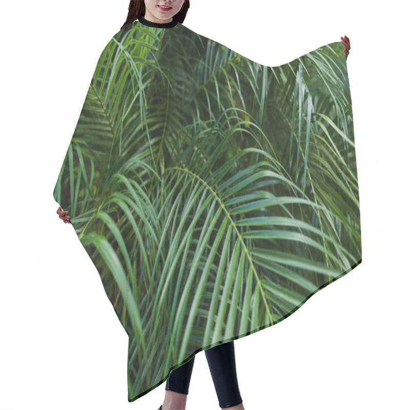 Personality  Tropical Foliage Background Photo. Hair Cutting Cape