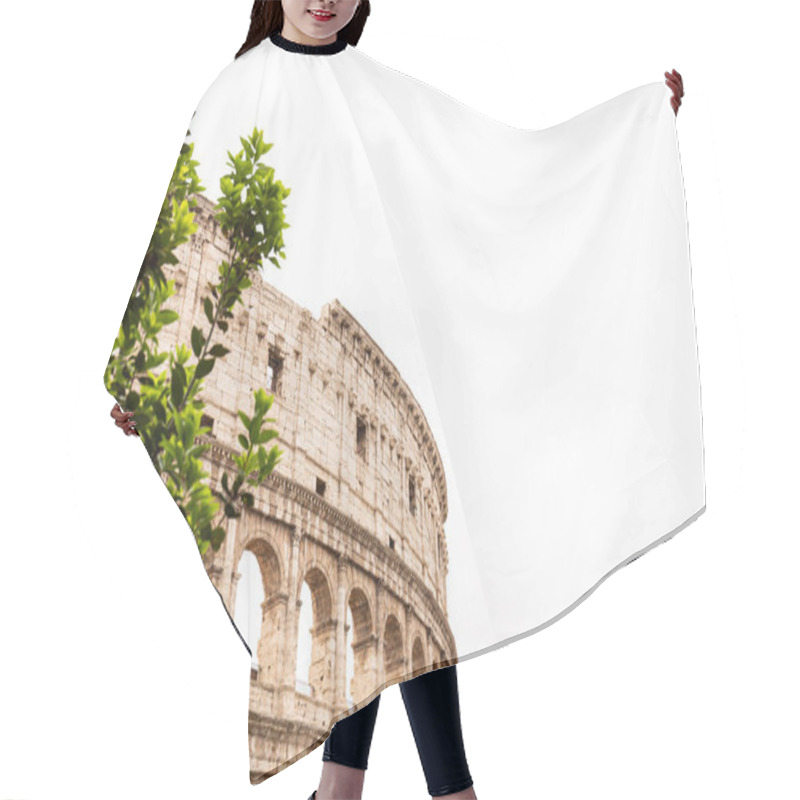 Personality  ROME, ITALY - JUNE 28, 2019: Panoramic Shot Of Old Ruins Of Colosseum Hair Cutting Cape