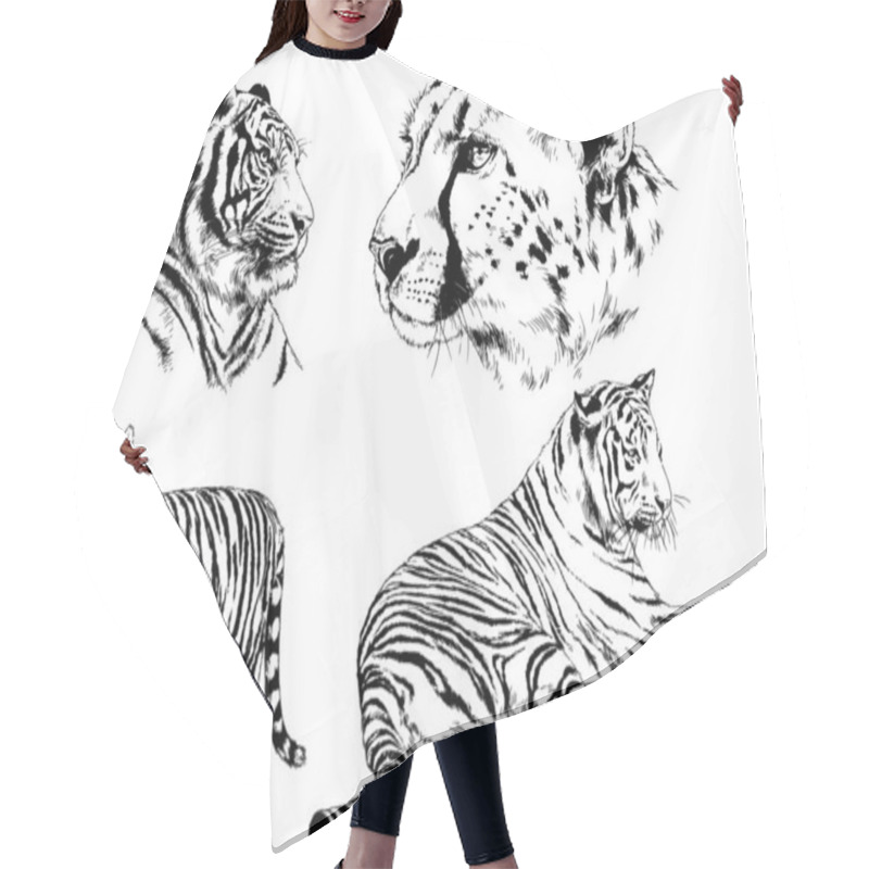 Personality  Set Of Vector Drawings On The Theme Of Predators Tigers Are Drawn By Hand With Ink Tattoo Logos Hair Cutting Cape