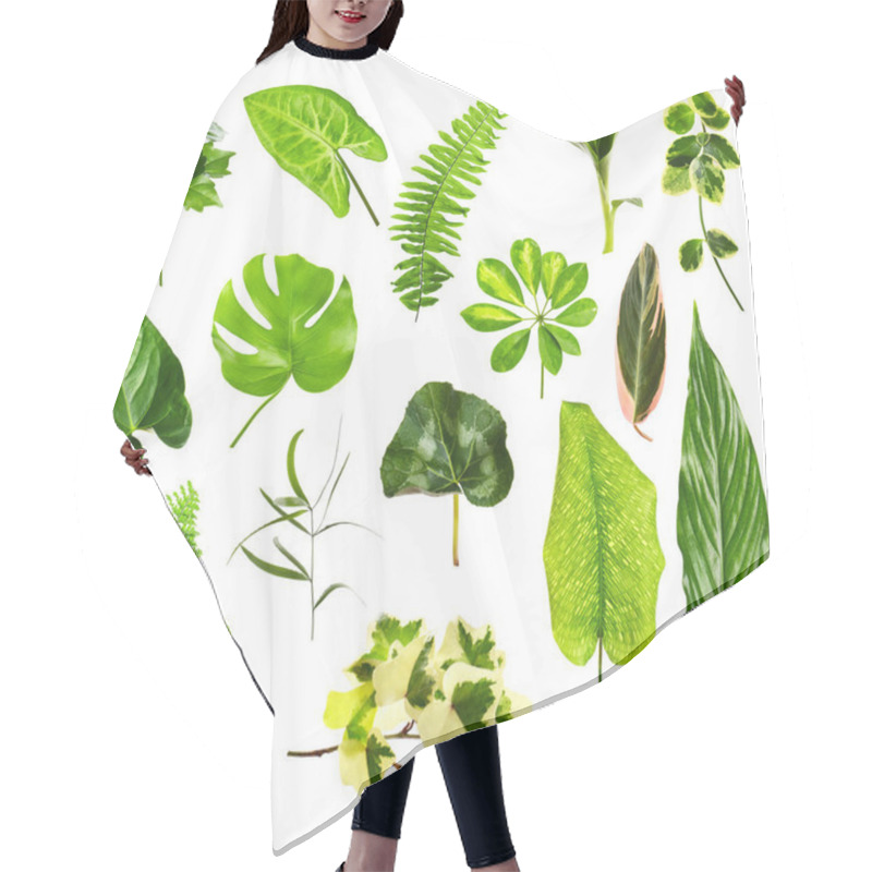 Personality  Different Houseplants Leaves Hair Cutting Cape