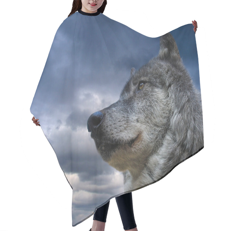 Personality  Canadian Wolf Hair Cutting Cape