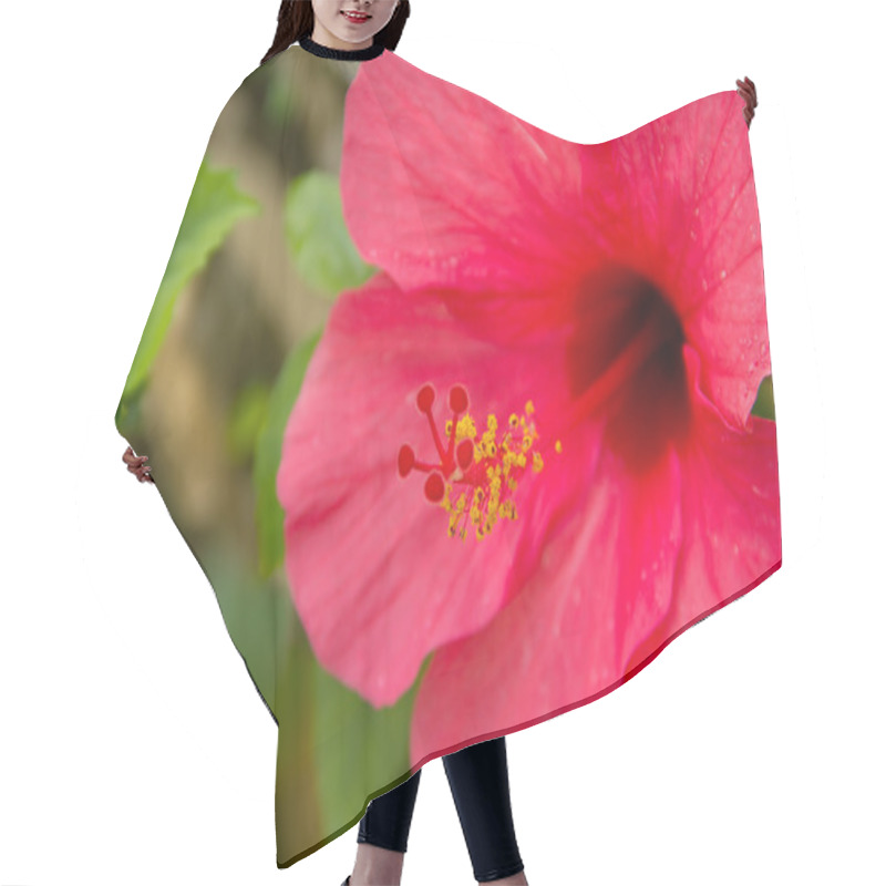 Personality  Hibiscus (close Up) Hair Cutting Cape