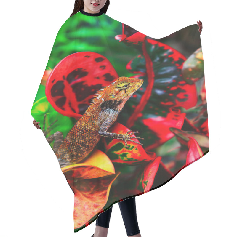 Personality  Chameleon Hair Cutting Cape