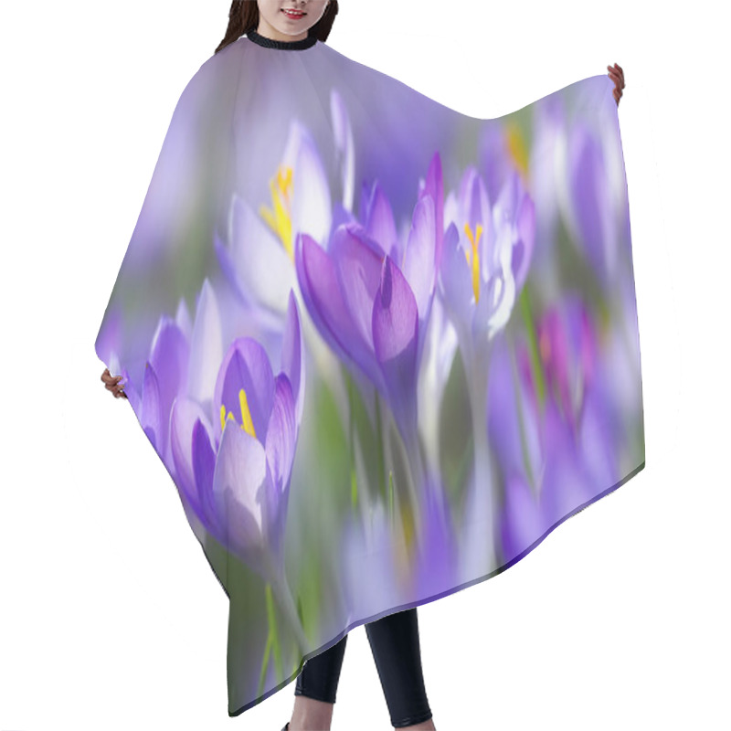 Personality  Purple Crocuses, Spring Flowers Petals Hair Cutting Cape