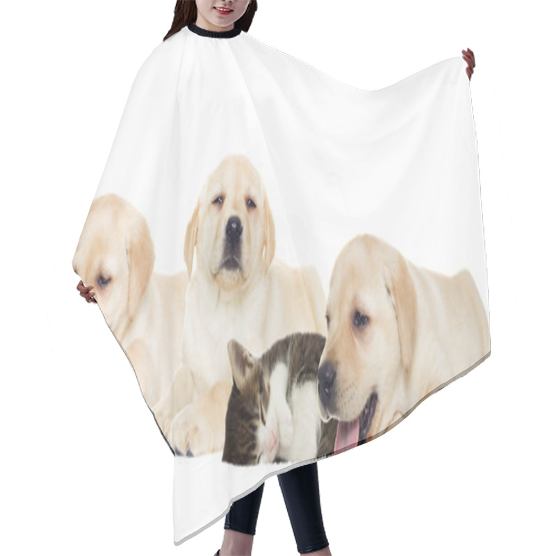 Personality  Puppy And Kitten Sleeping Hair Cutting Cape