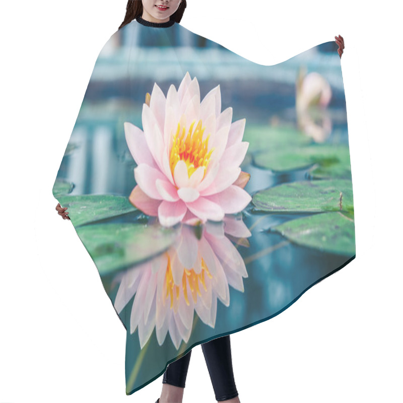 Personality  A Beautiful Pink Waterlily Or Lotus Flower In Pond Hair Cutting Cape