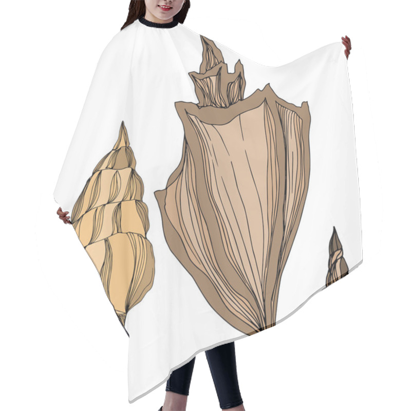 Personality  Vector Summer Beach Seashell Tropical Elements. Brown Beige Engr Hair Cutting Cape