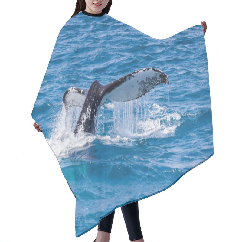 Personality  Beautiful Whale Hair Cutting Cape